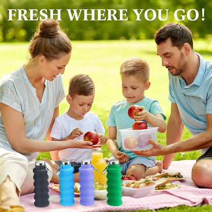 Lallisa 4 Pcs Collapsible Water Bottles 17 oz Reusable Silicone Foldable Travel Water Bottle Portable Leak Proof Sports Water Bottles for Gym Camping Hiking (Blue, Purple, Gray, Green)